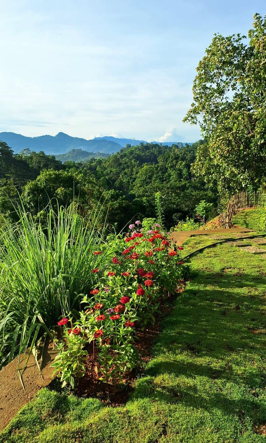 Kobbekaduwa Bungalow แคนดี้ ภายนอก รูปภาพ